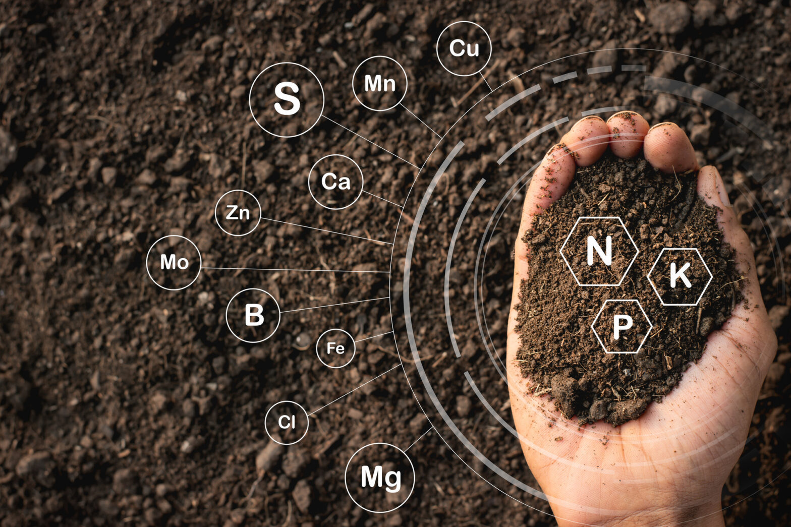 Fertilité des sols – N1