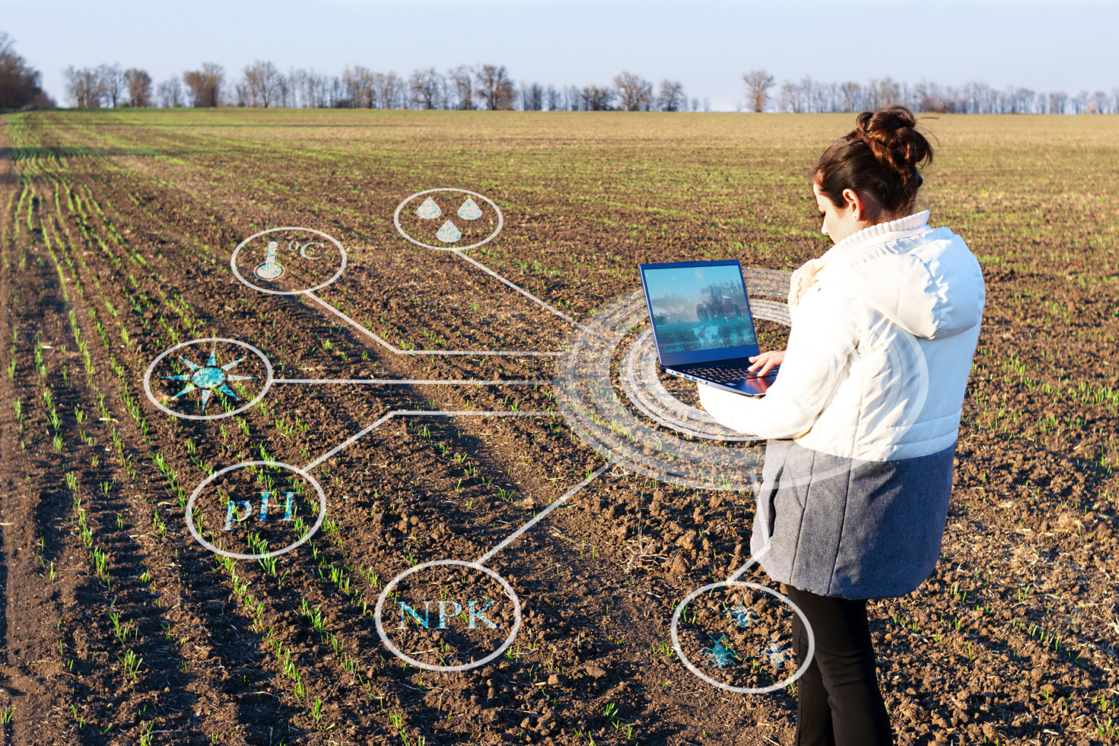 Analyse de la teneur en oligo-élements d'une parcelle agricole.