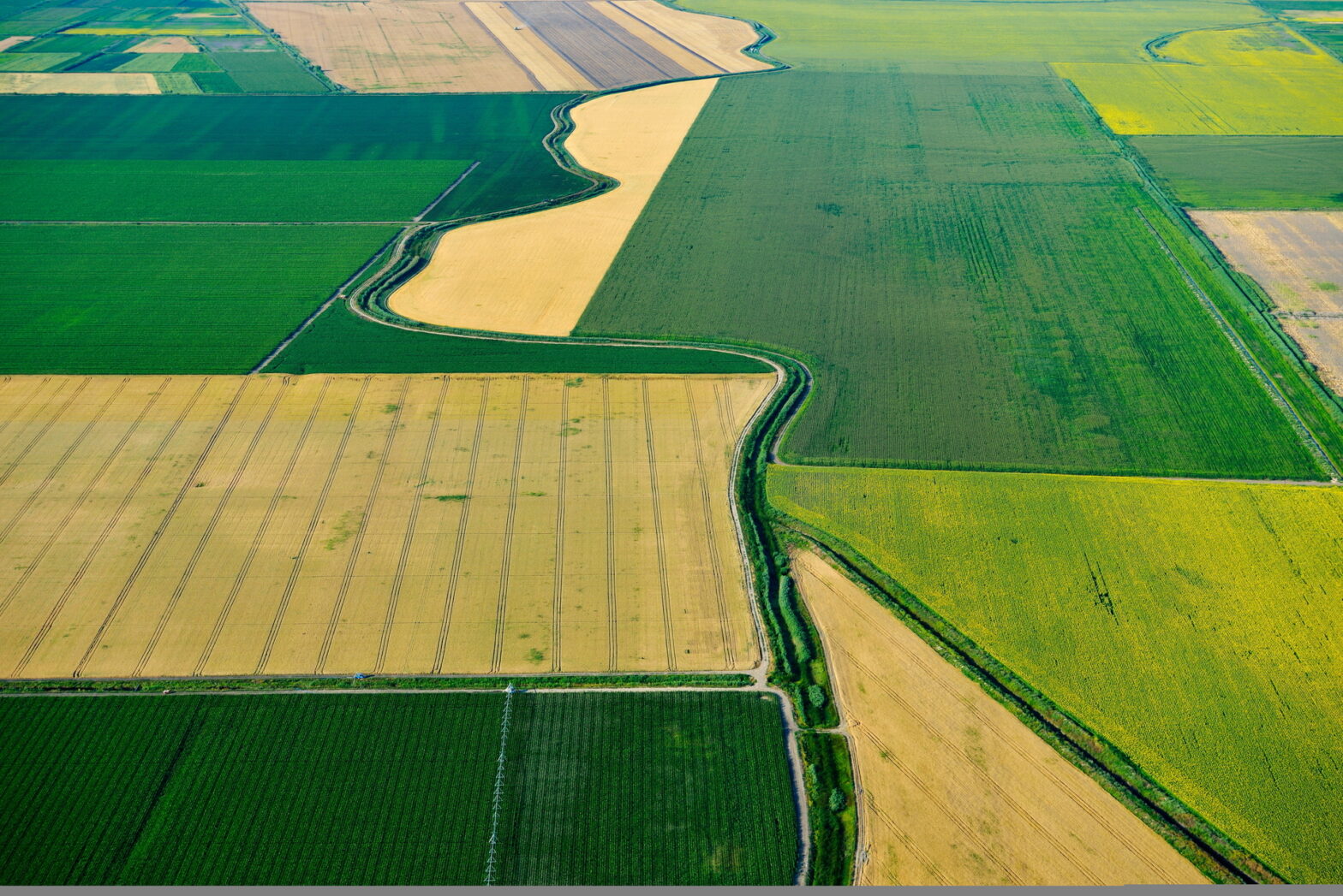 Vue aérienne, cultures de blé et de colza, parcellaire agricole.