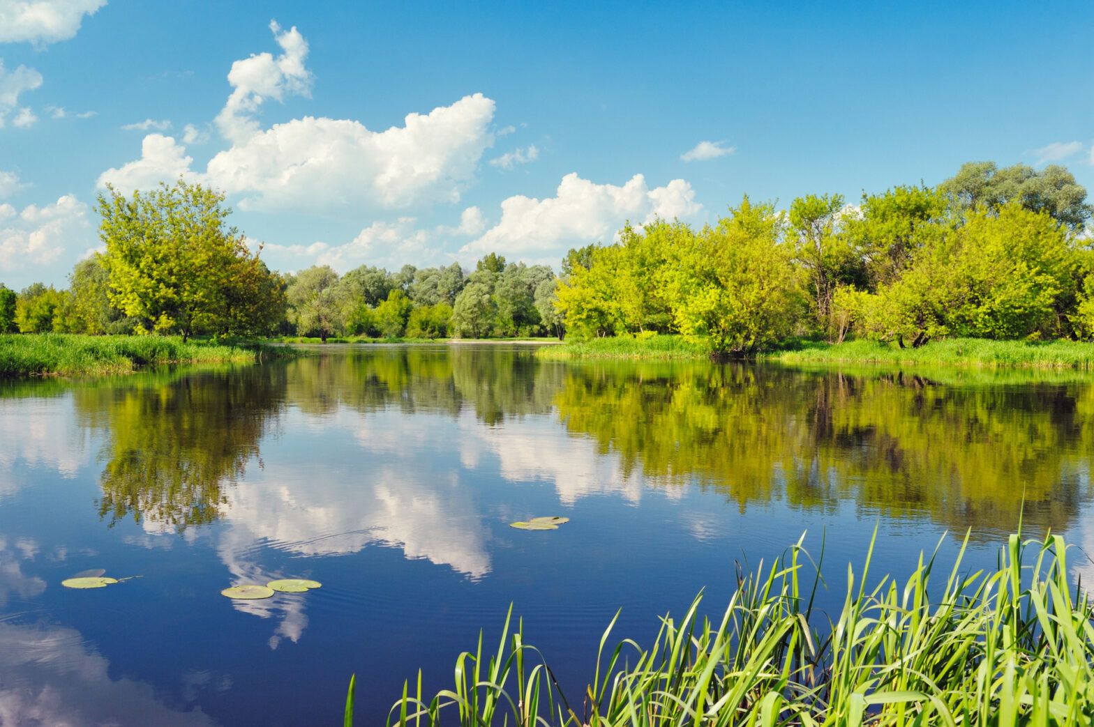 Biodiversité et réserve naturelle.