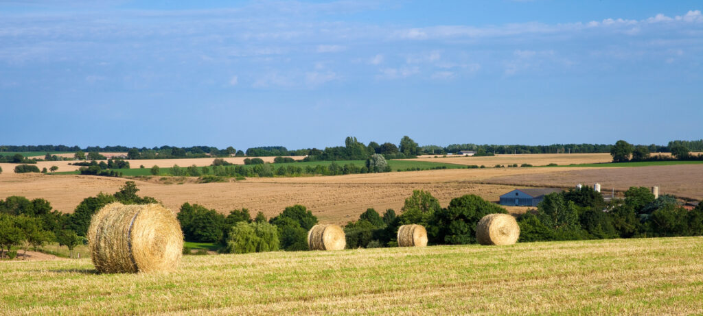 Paysage de bocage dans la campagne agricole