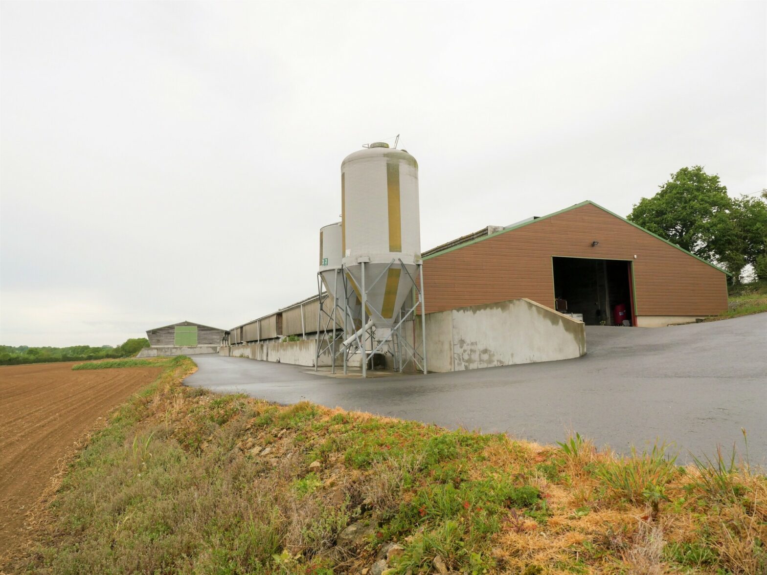 Élevage de volailles ou poulailler en Vendée.