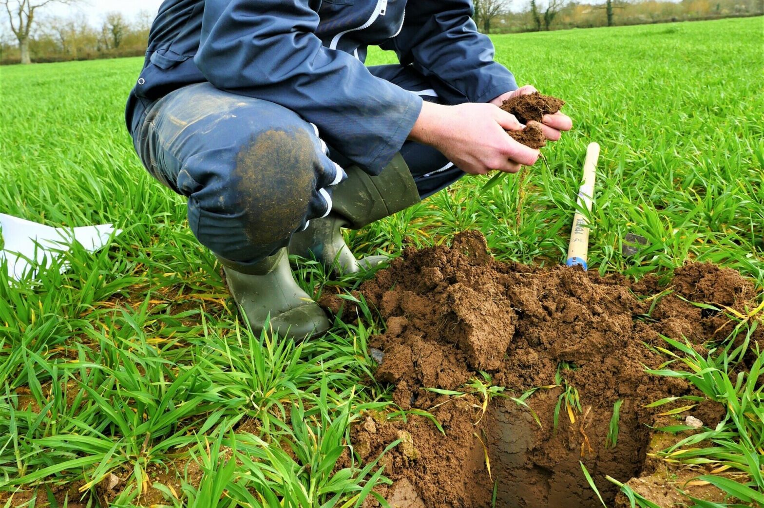 Technicien agronome Cavac qui analyse un sol.