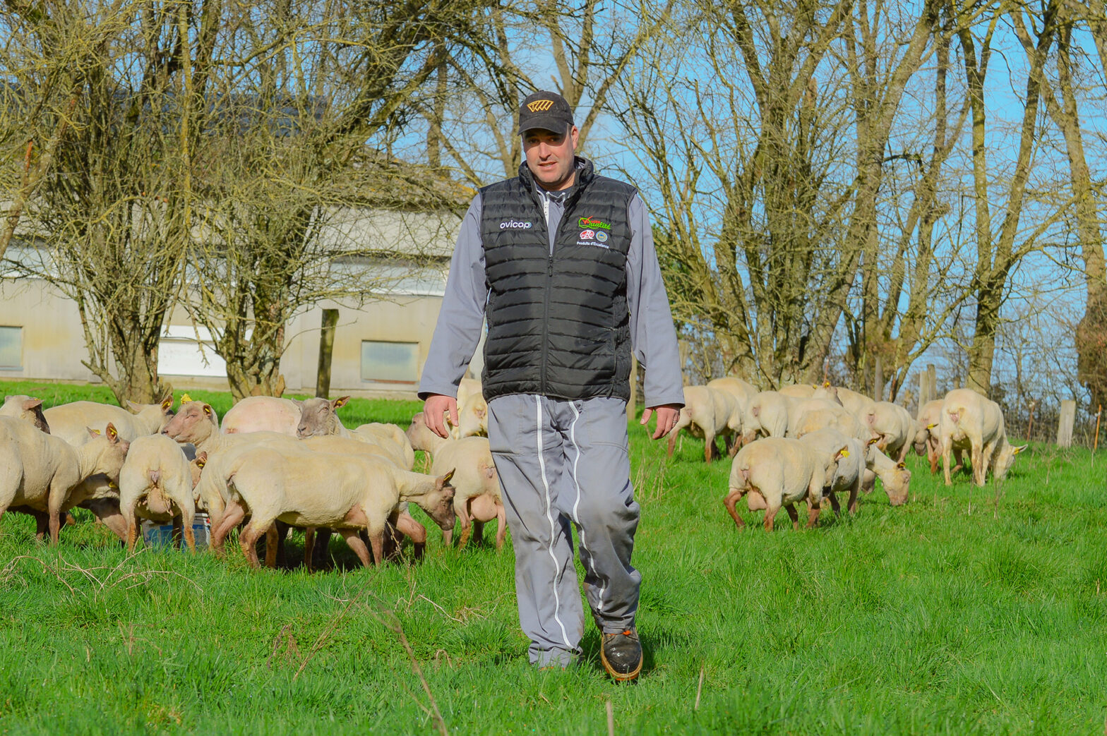 Alexis Gabillaud, éleveur ovin viande