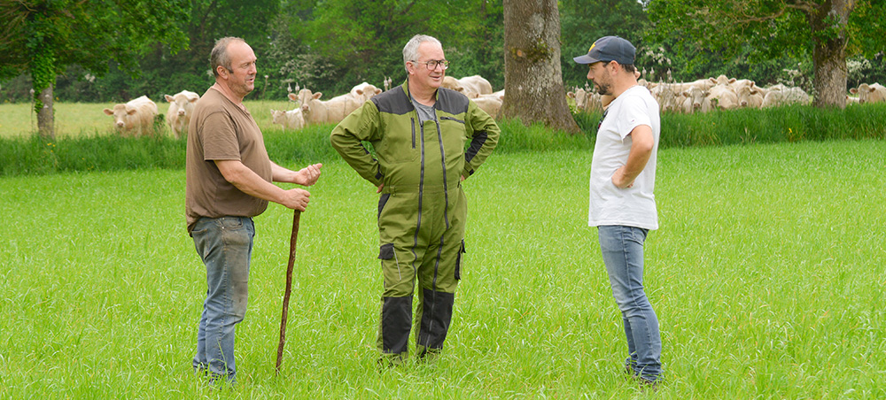 Corentin Rabouin, technicien cultures spécialisées de Cavac accompagne Francis et Laurent Bordage dans la culture du ray-grass semence.