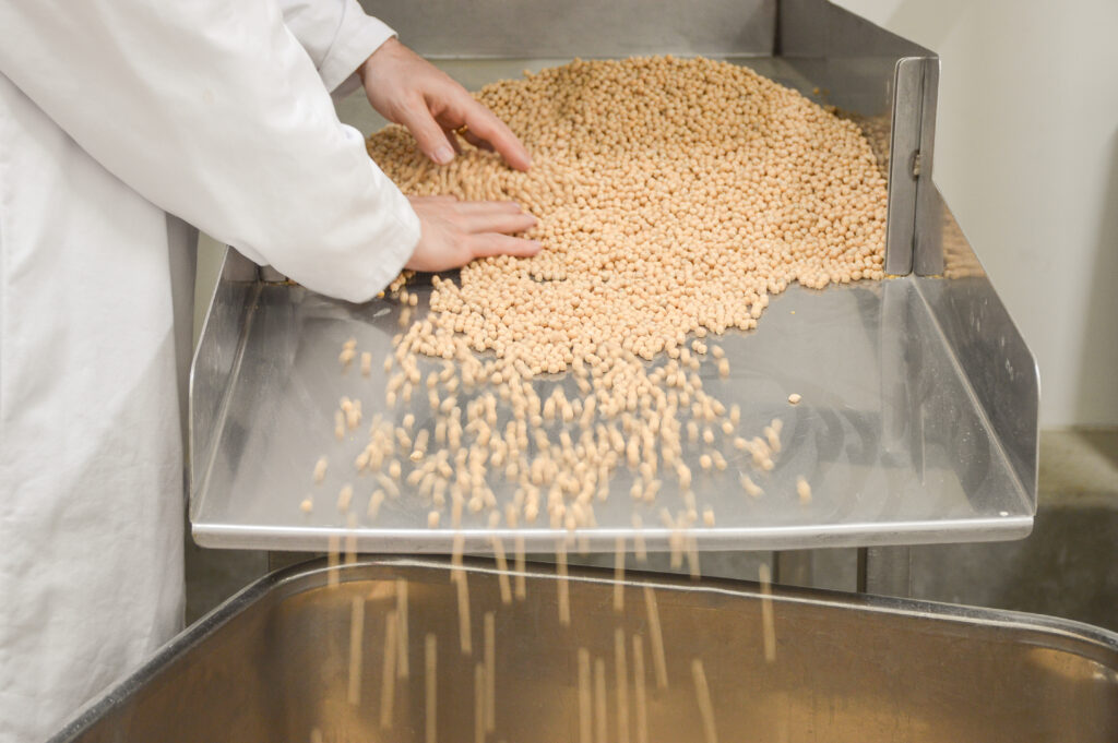 Un dernier contrôle visuel est effectué avant l’appertisation des pois chiches chez Olvac.