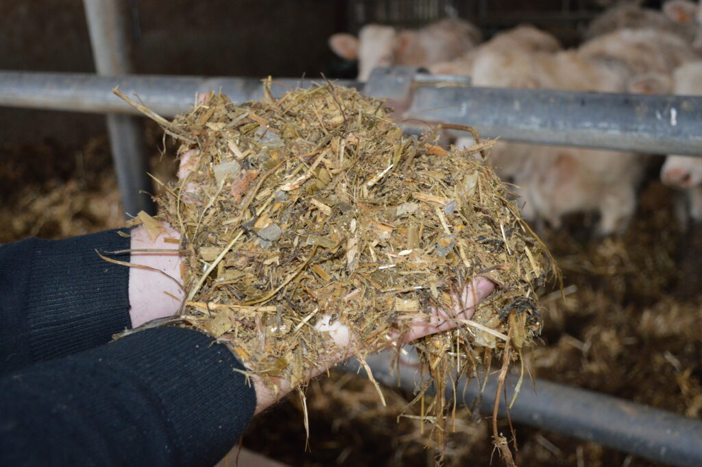 Aliment-broye-vendee-Cavac-vache-laitière