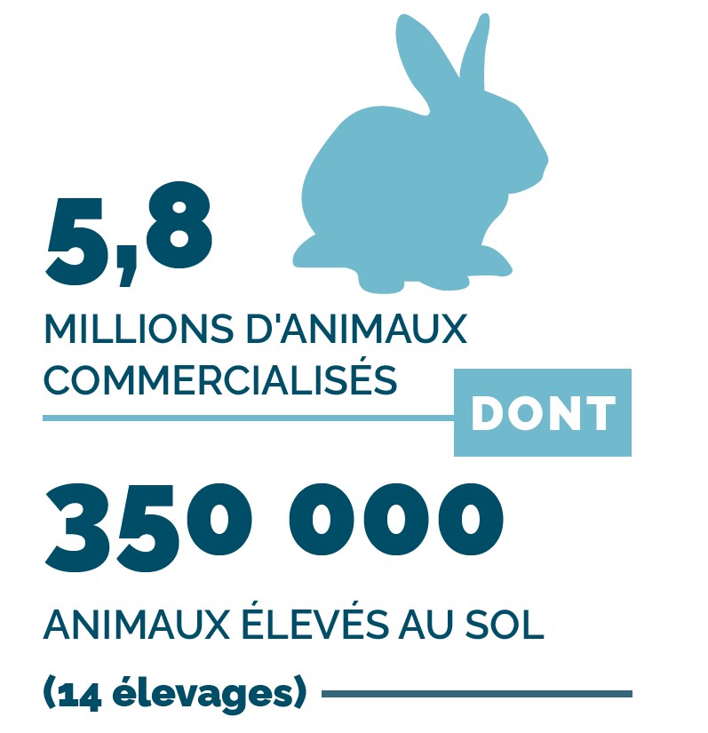 Chiffre-lapin-production-vendee-cplb
