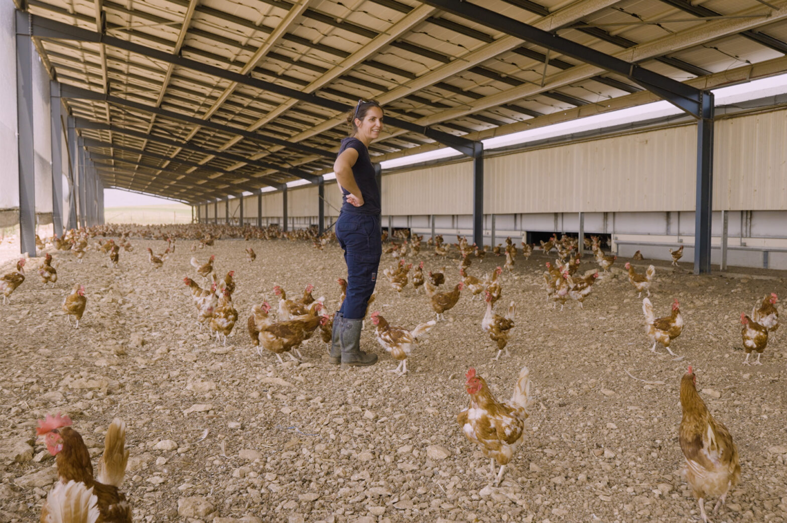 Lucie Mainard, éleveuse de poules pondeuses