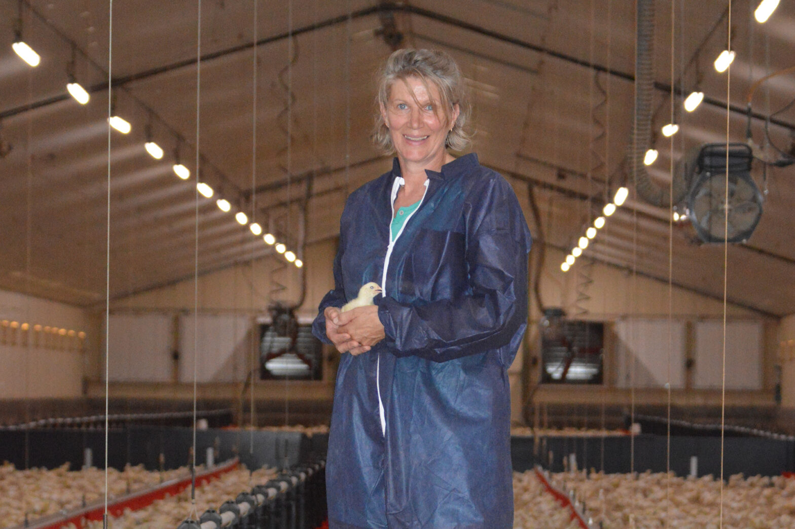 Hélène Boussereau, 53 ans, productrice de volailles à Cours en Deux-Sèvres. Avec l’appui de Volinéo, elle a adapté son canardier en poulailler pour répondre à la demande croissante des consommateurs en viande de poulet.