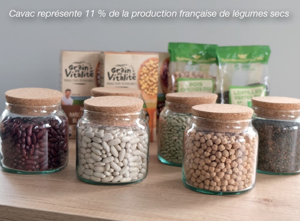 Legumes-secs-legumineuse-vendee-cavac-diversite