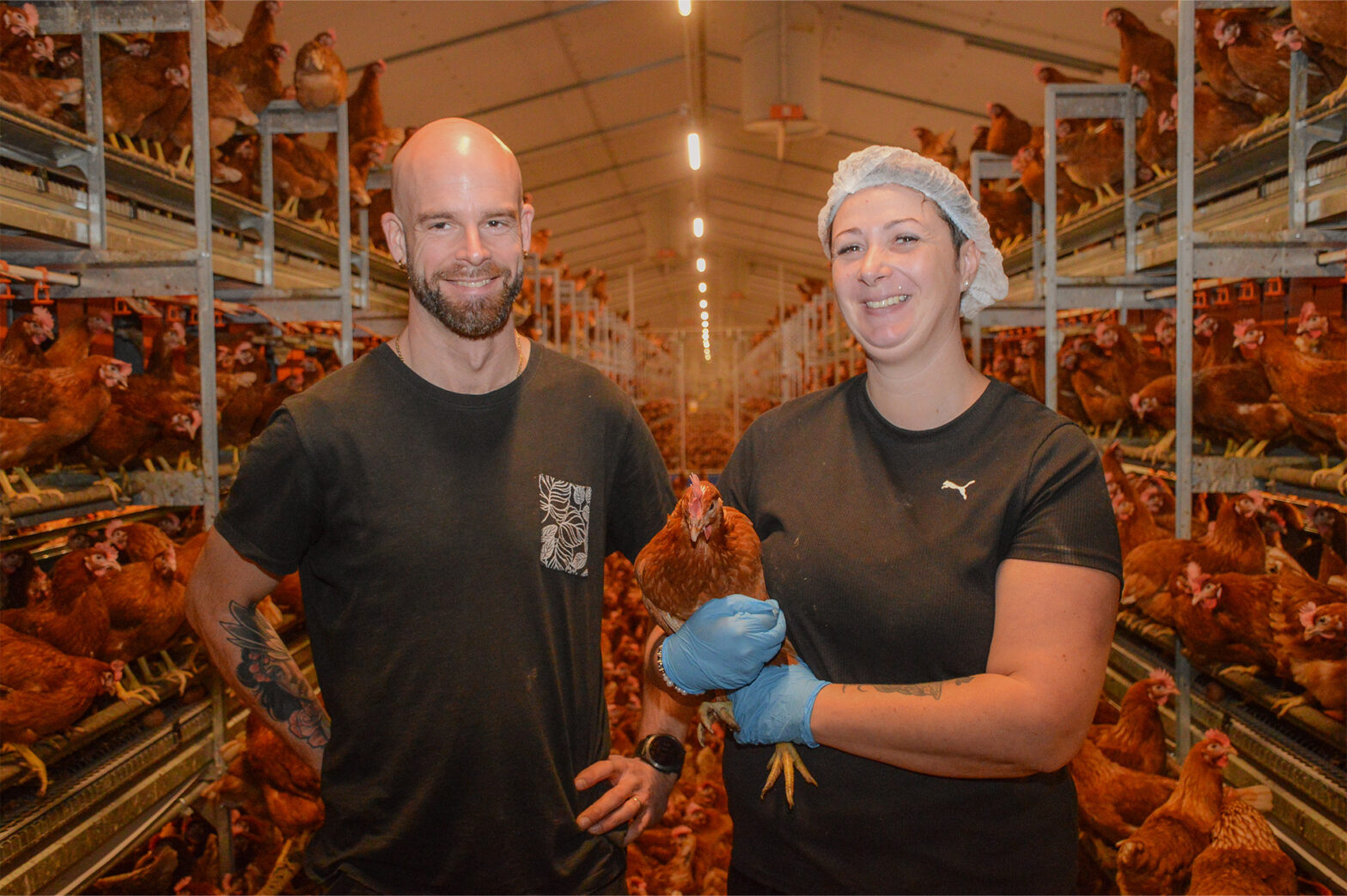 Nicolas et Élodie Renaudeau se sont lancés en poules pondeuses en 2019. En janvier 2026, ils ont équipé leur bâtiment de volières et d’une ventilation dynamique.