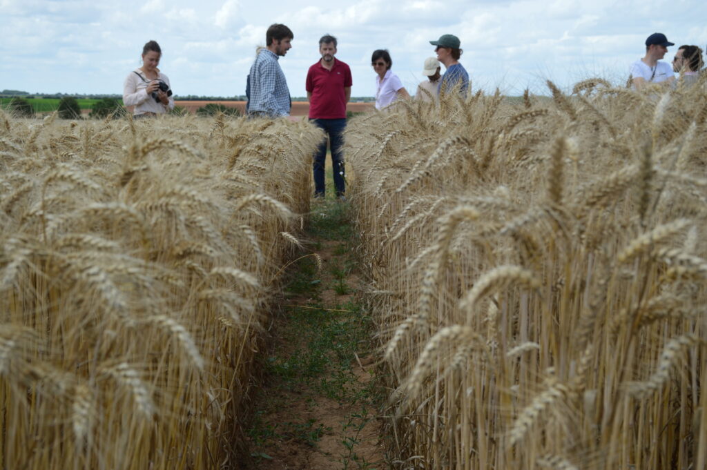 Plateforme-essais-ble-association-visite-cavac-vendee