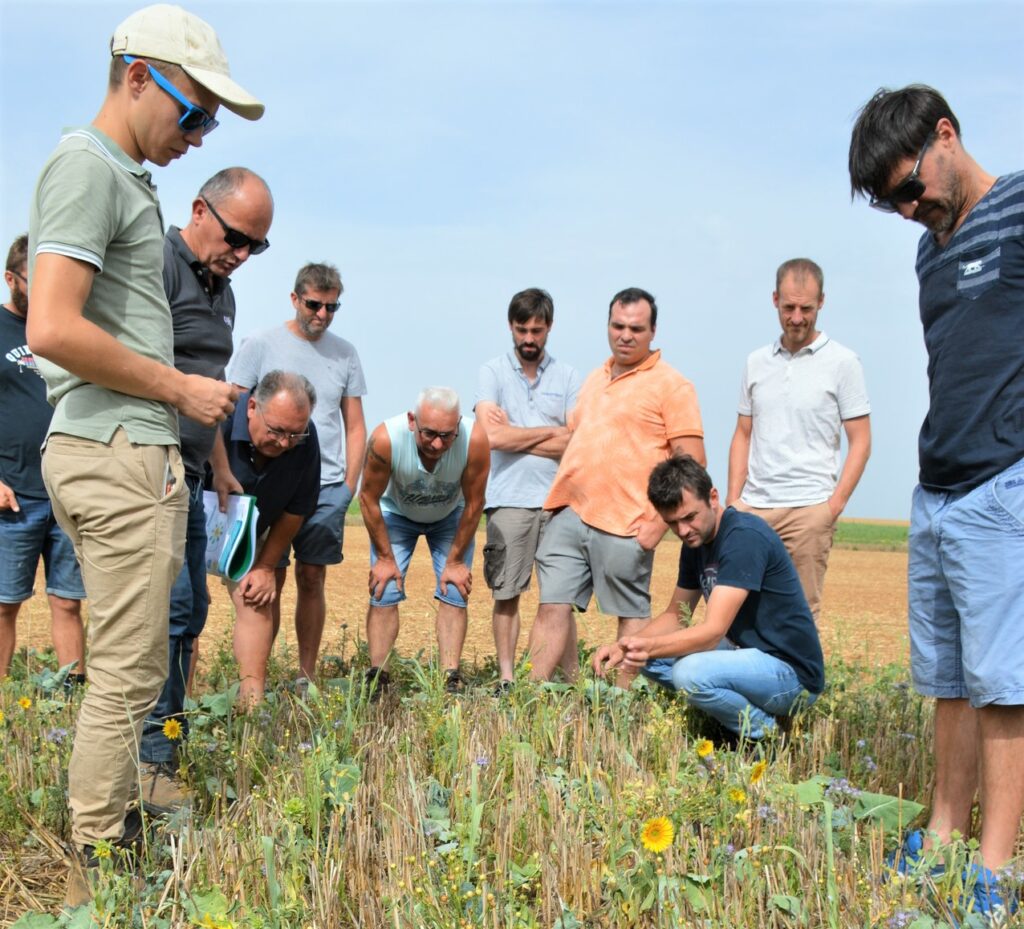 plateforme-essais-vendee-cavac-couvert-cultures-intermediaires-multi-service-cims