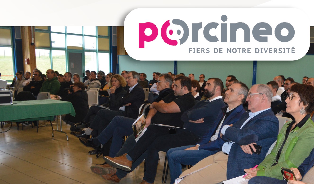 Porc-vendee-AG-Porcineo