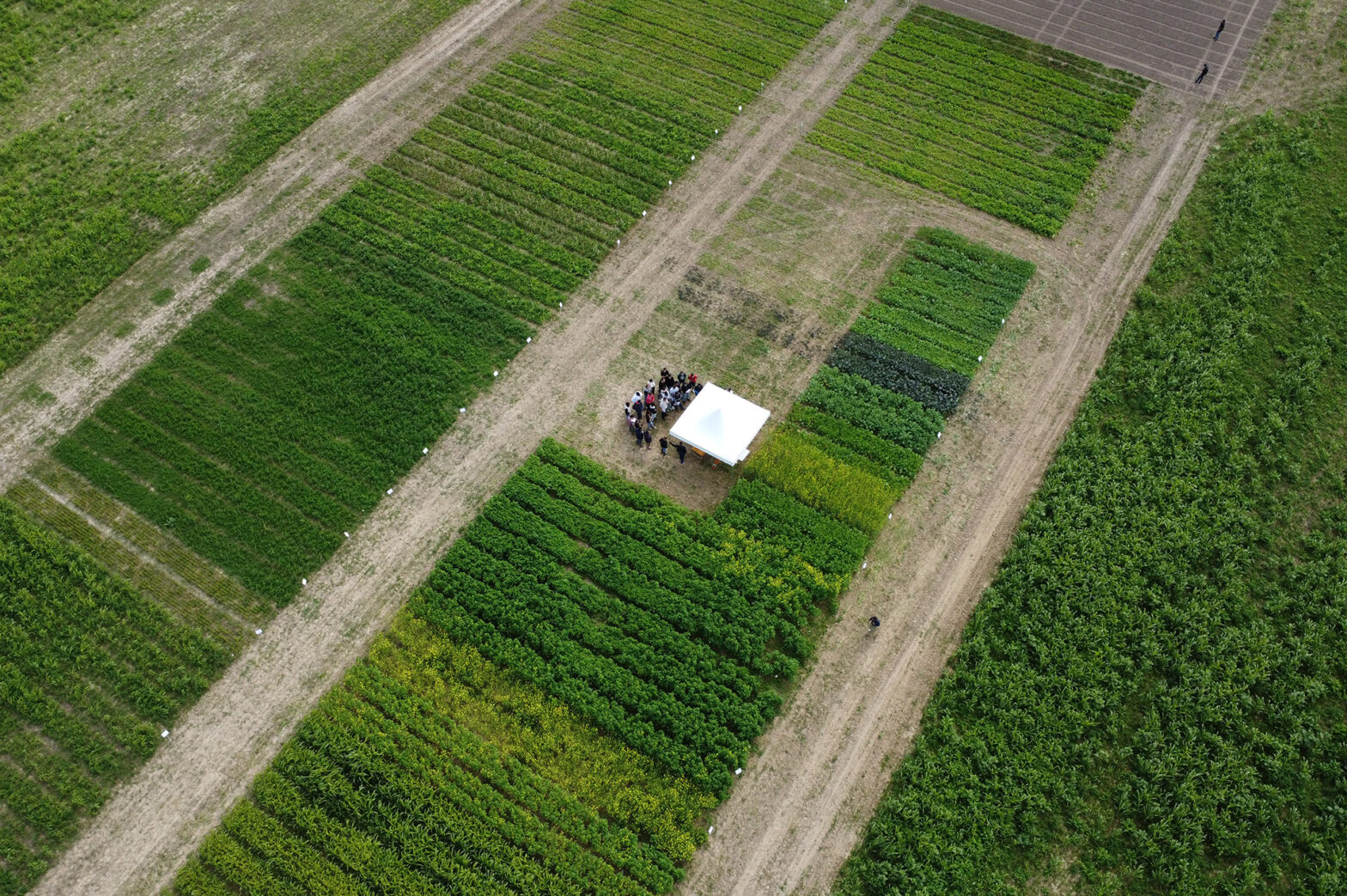 Rallye Agro