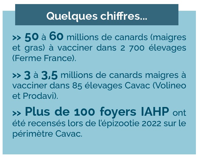 vaccination-grippe-aviaire-cavac