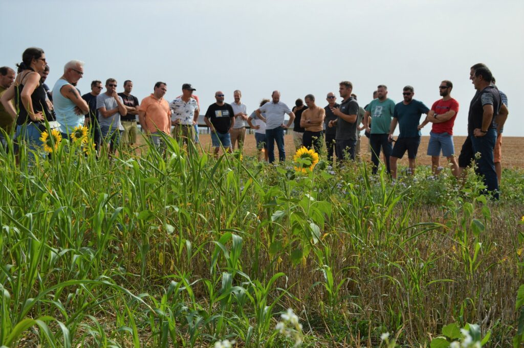 visite-essais-vendee-cavac-couvert-cultures-intermediaires-multi-service-cims-regenerative