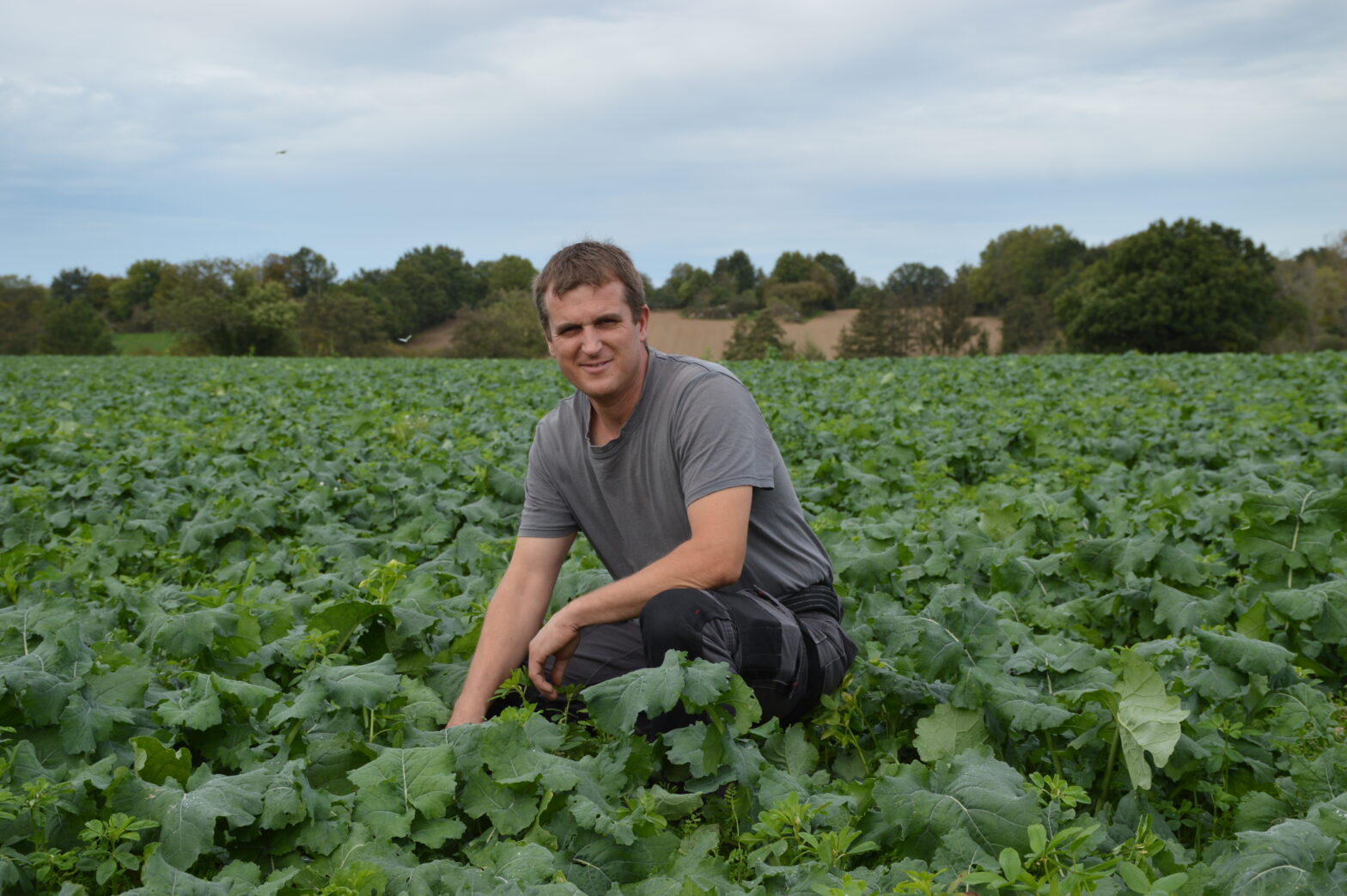 Yohann-Gilles-agriculteur-Vendee-Cavac-colza-IFT-colza